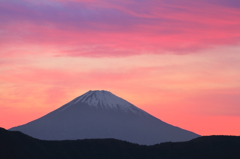 富士燃ゆる