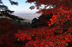 大山紅葉７