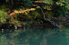 妖精の池