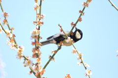 _食いしん坊
