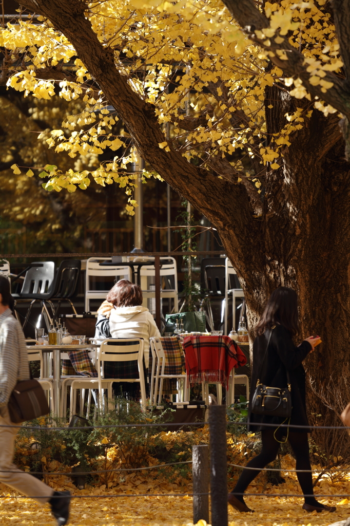 赤いブランケット