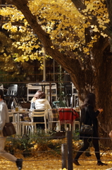 赤いブランケット