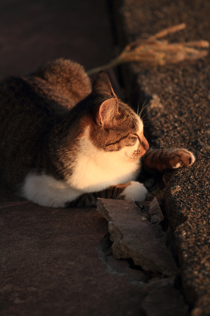 夕日の温もり