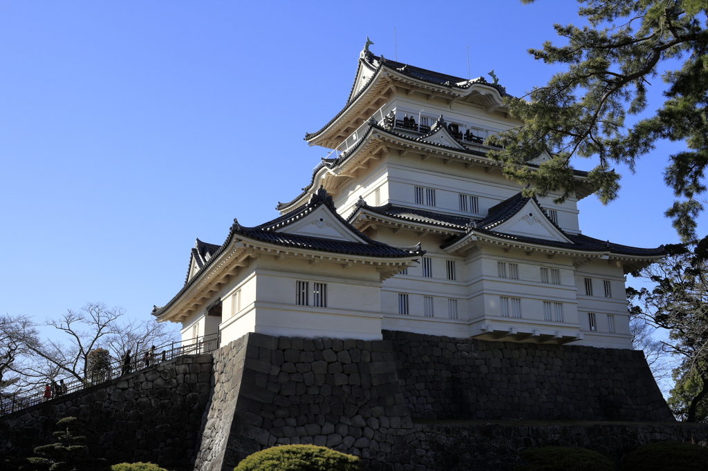 快晴の小田原城