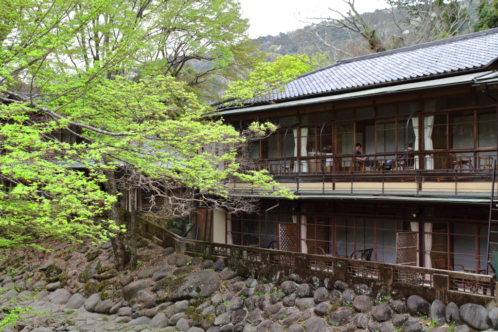 修善寺の寛ぎ
