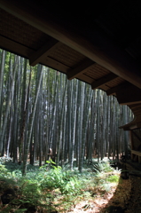 癒しの空間