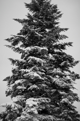 山形・雪4