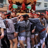 2014_富岡八幡宮例祭　各町神輿連合渡御　4