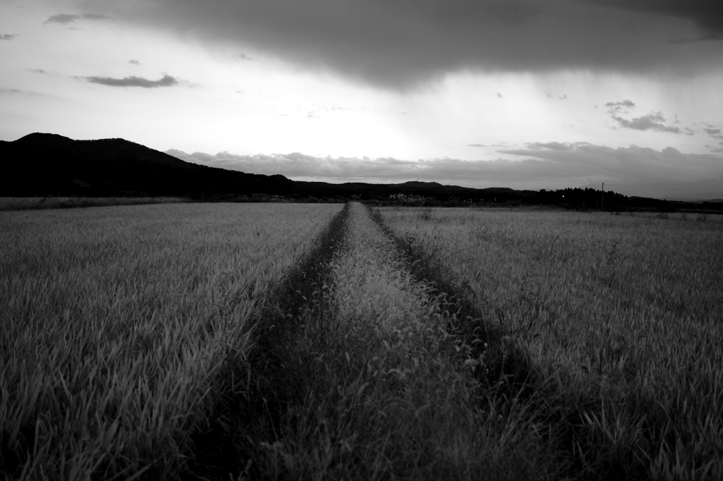 2014_10_167737