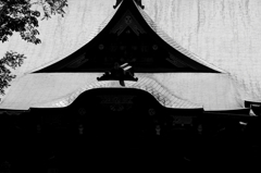 日本建築「美」