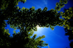 緑・青