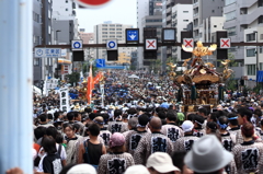 2014_富岡八幡宮例祭　各町神輿連合渡御　3