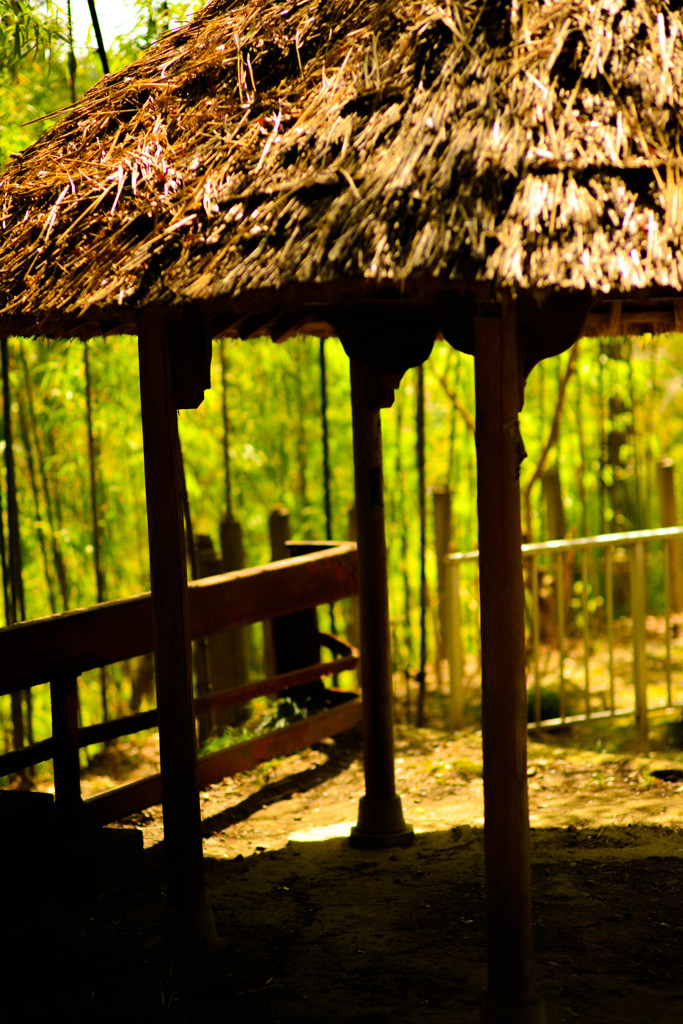 竹と共に去りぬ