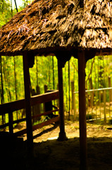 竹と共に去りぬ