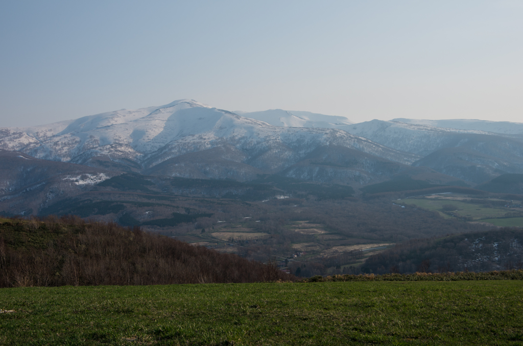 test3