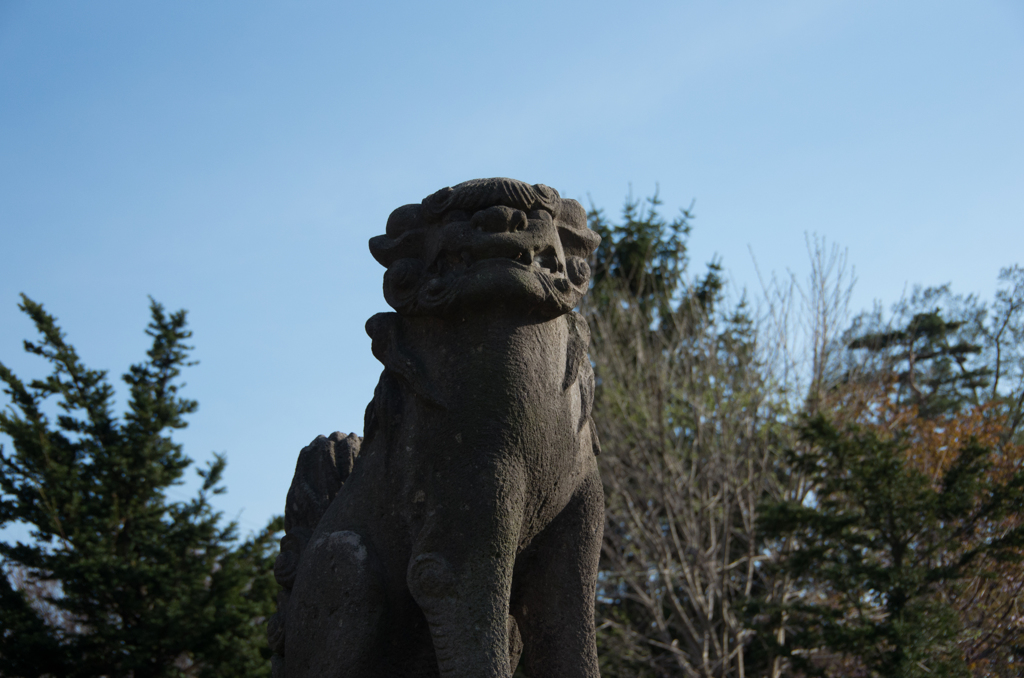 神社のわんこ