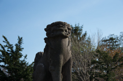神社のわんこ