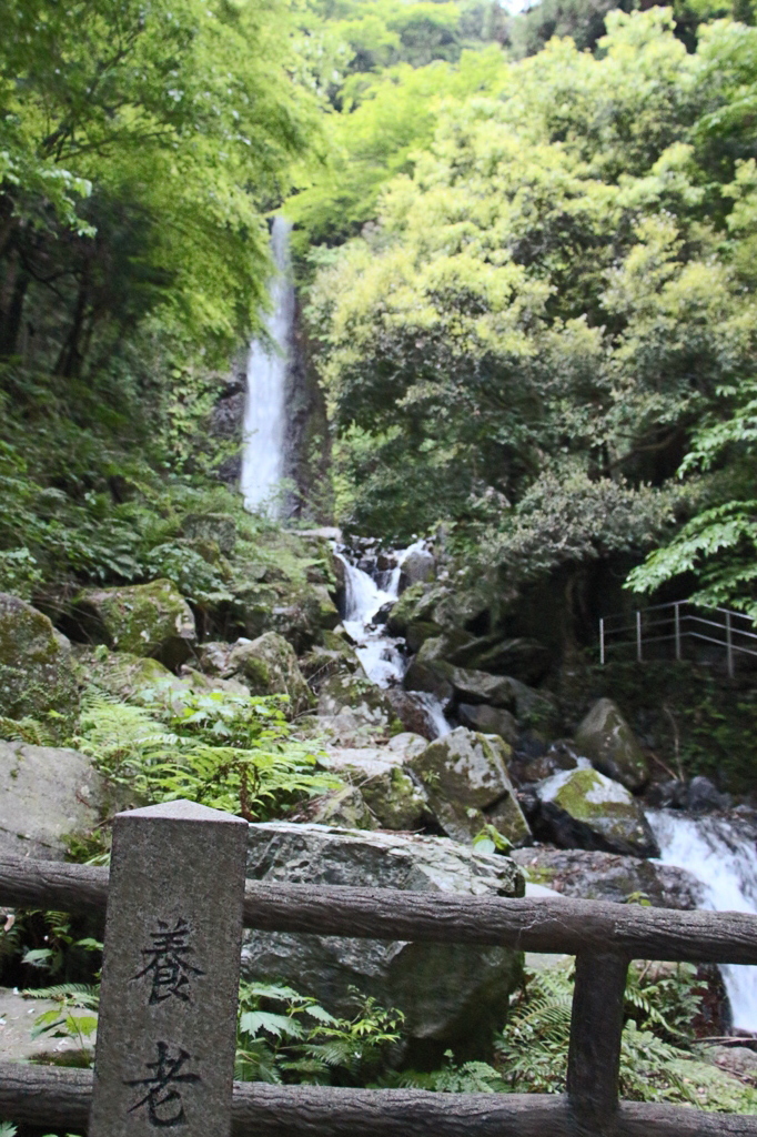 養老の滝