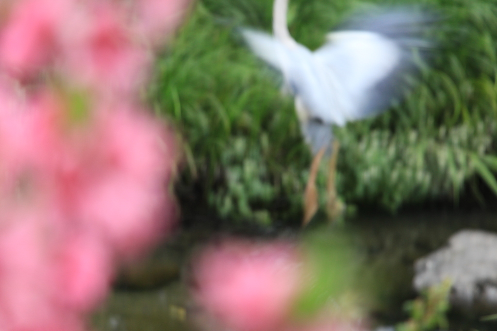 春への興奮