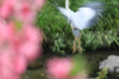 春への興奮