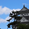 大垣城の空