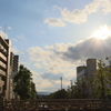 風色やそぞろに植ゑし庭の“春”