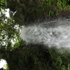 下から見上げる養老の滝
