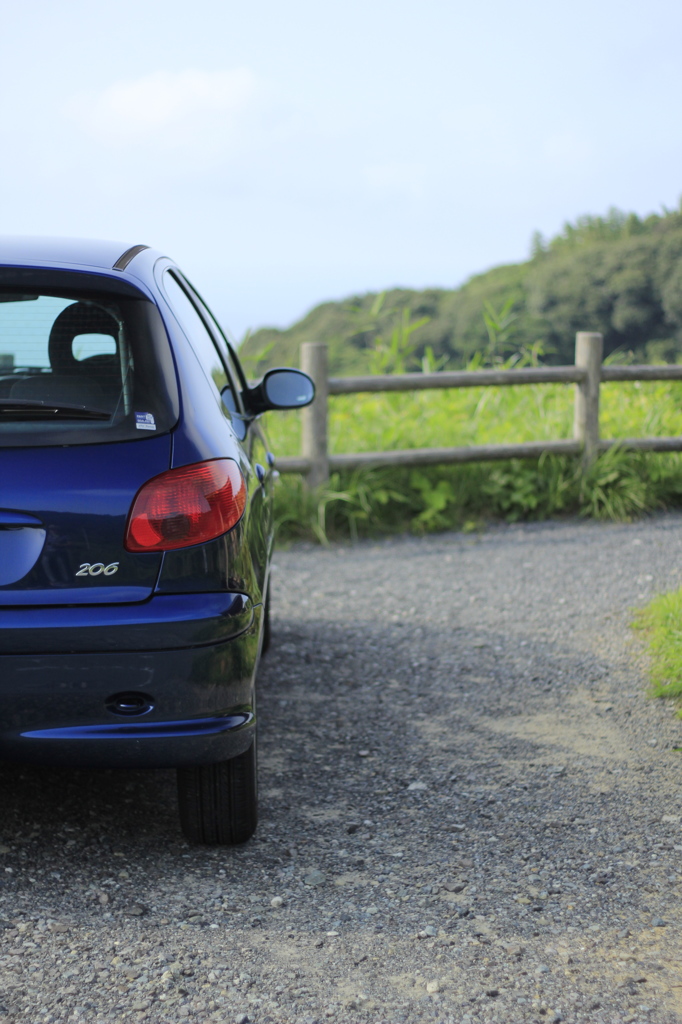 Peugeot206！