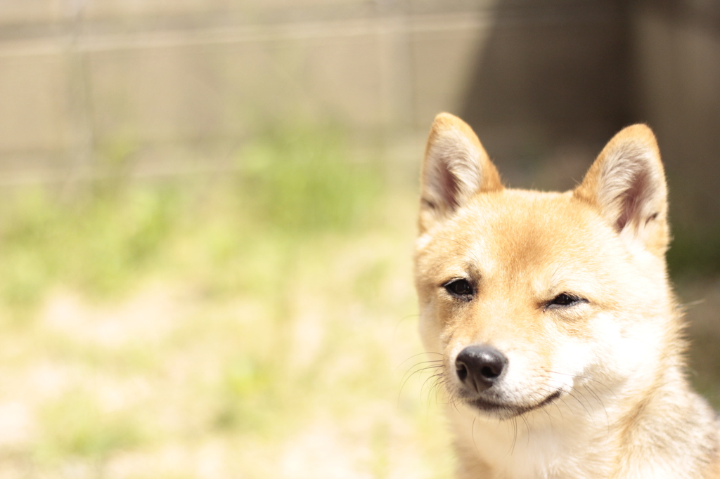にっこり笑顔？