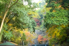 ダムと紅葉と・・
