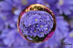 華玉