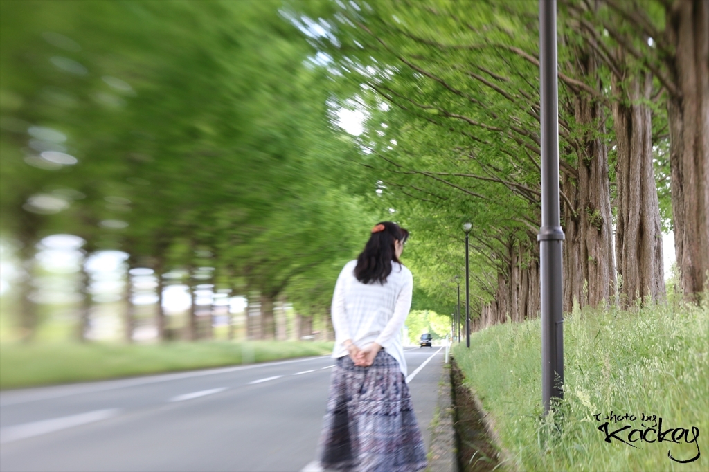 Beautiful woman walking the street trees
