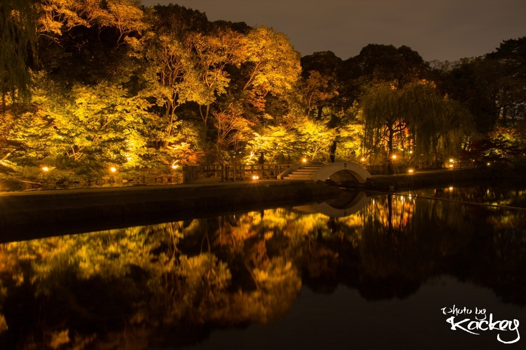 天空の橋、紅葉ver.