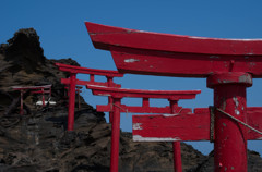 朱