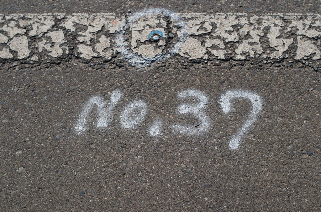 NO.37