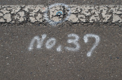 NO.37