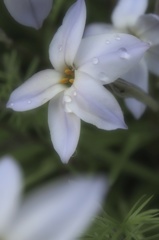 P3270052