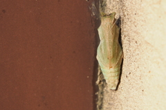 P3270047