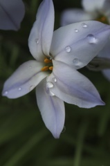 P3270053
