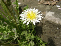 P4040268