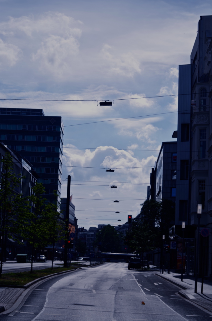 朝散歩の途中で