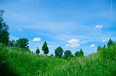 青空につられて