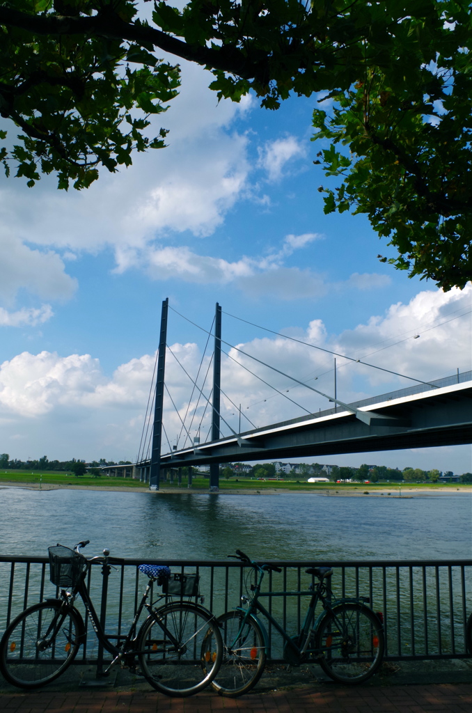 休日　いつもの散歩道