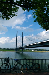 休日　いつもの散歩道