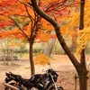 紅葉のくろんど池にて