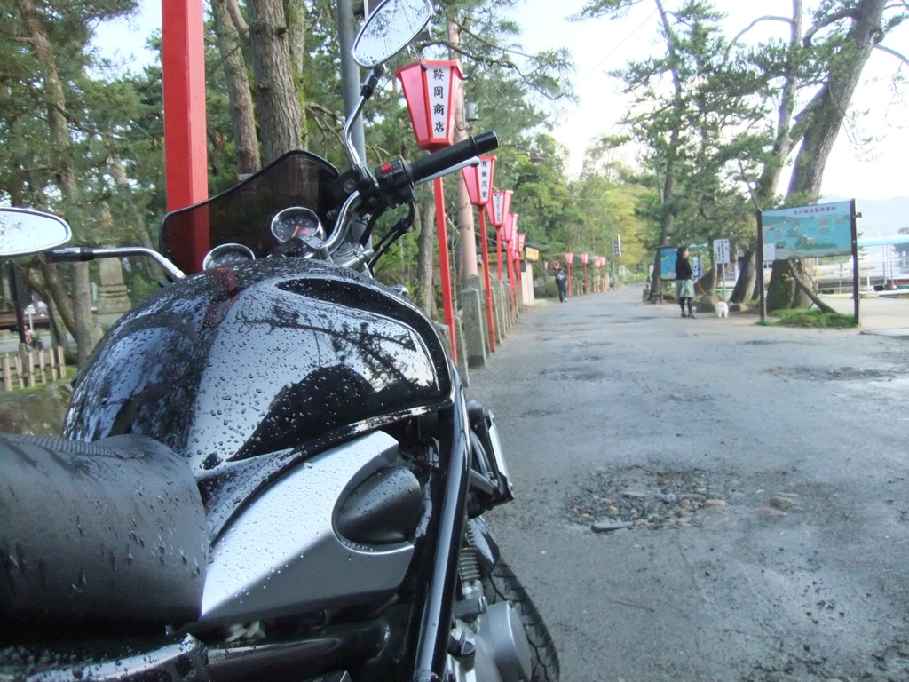 通り雨で良かったね