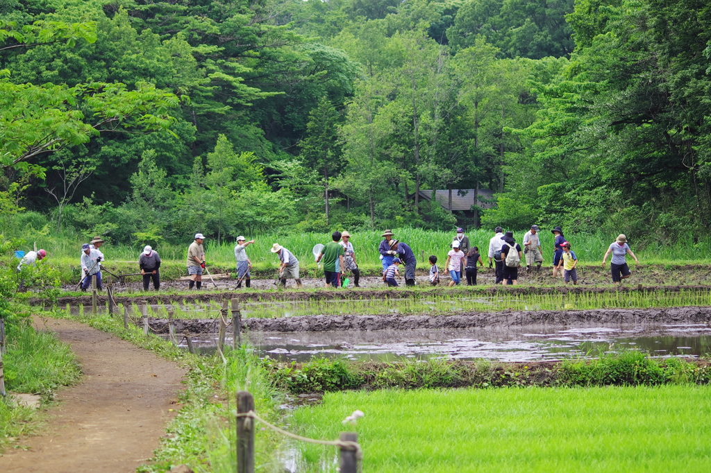 仕事 vs.遊び