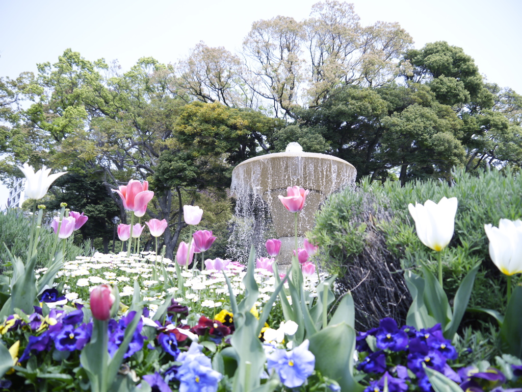 fountain