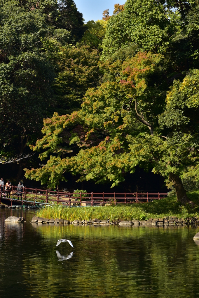 小石川後楽園