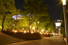 夜の広場